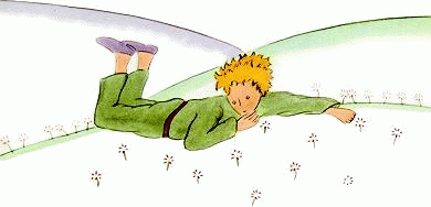 Couch&eacute; par terre, le Petit Prince pleure